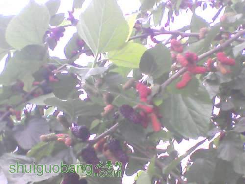 YP20120320072319.jpg