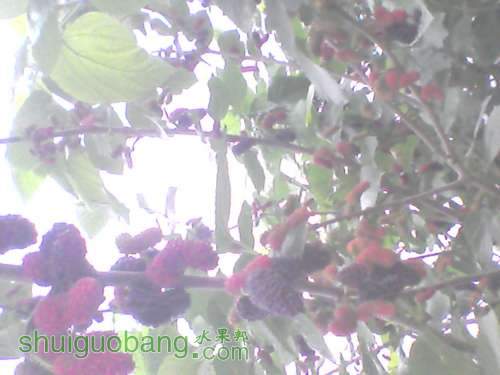 YP20120320072025.jpg