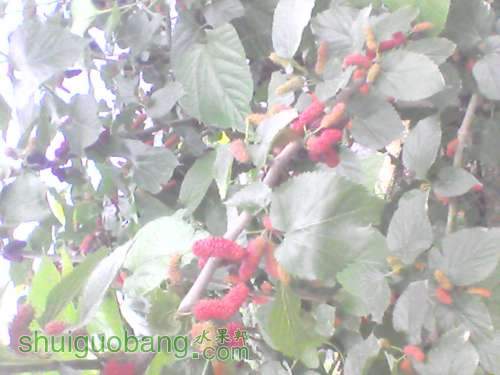 YP20120320071940.jpg