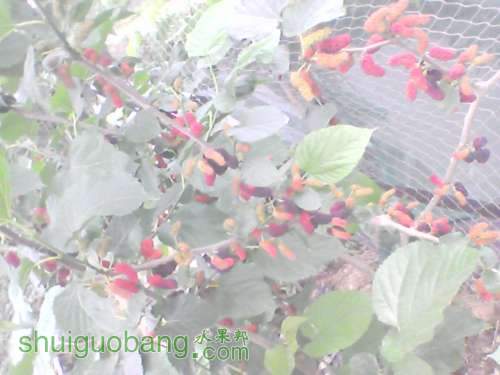 YP20120320071542.jpg