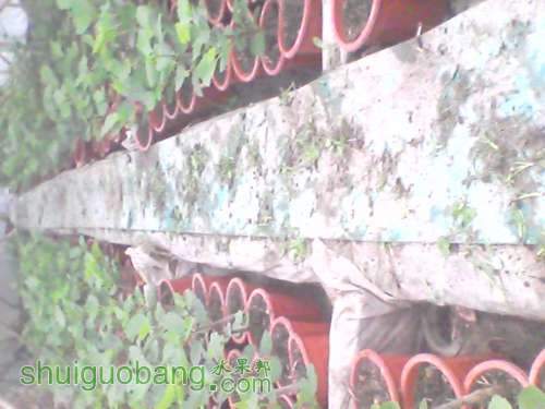 YP20120311171914.jpg