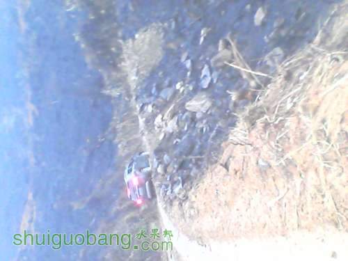 YP20120227161425.jpg