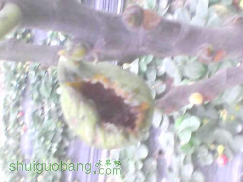 YP20120216165155.jpg