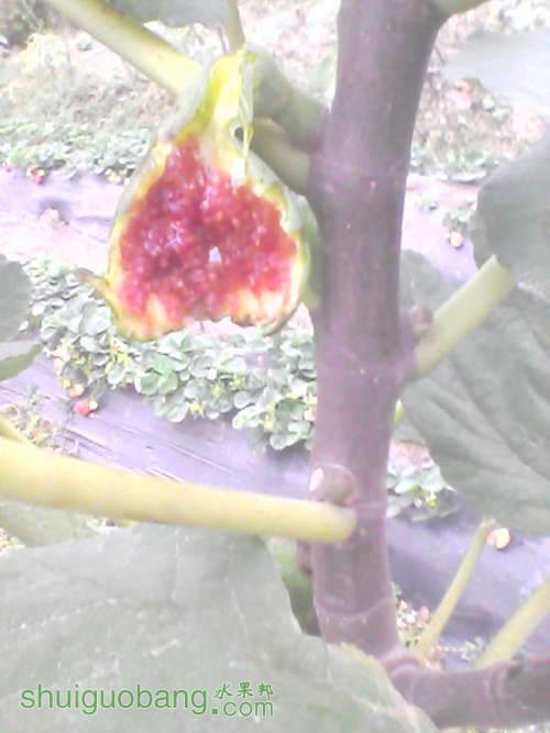 YP20120216165118.jpg