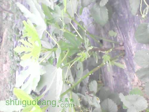 YP20120320074705.jpg