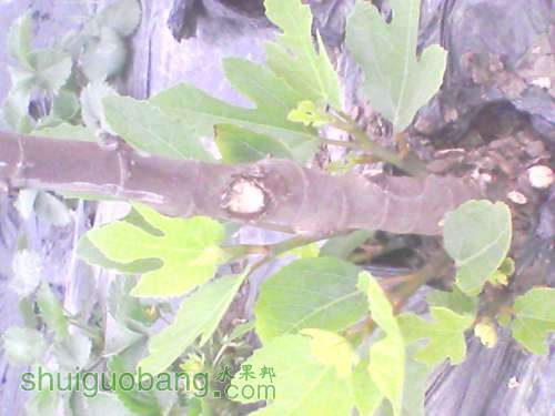 YP20120320074522.jpg