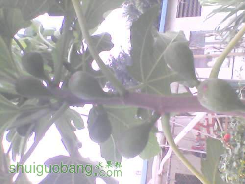 YP20120320074445.jpg
