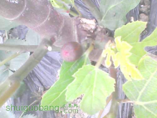 YP20120320074356.jpg