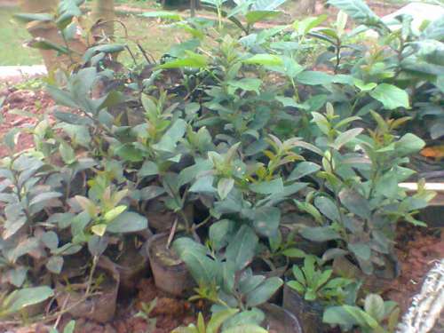 Ƭ0102.jpg