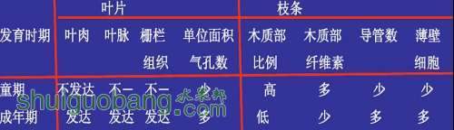 ͼƬ1.JPG