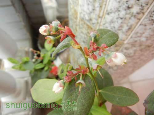 DSCN2151.JPG
