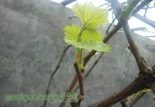 DSC00035.JPG