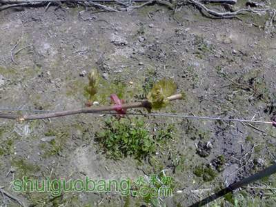 201203251451.jpg