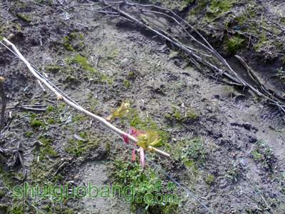 201203241414.jpg
