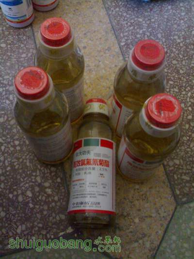 201203241424.jpg