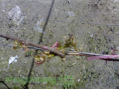 201203251450.jpg