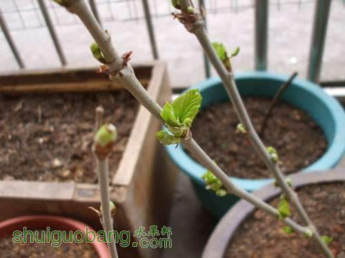 Ƭ 019.jpg