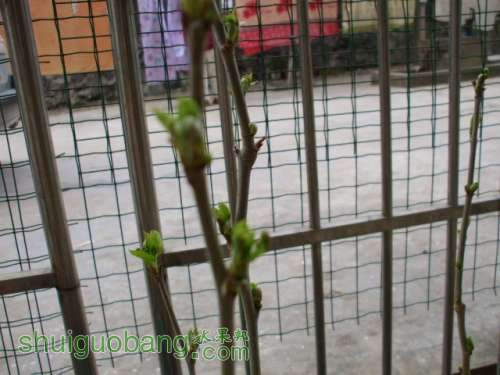 Ƭ 018.jpg