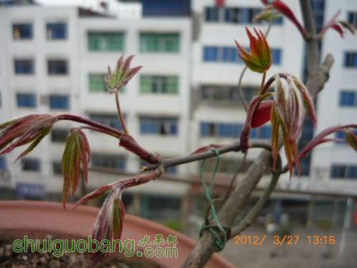 P1200047.JPG