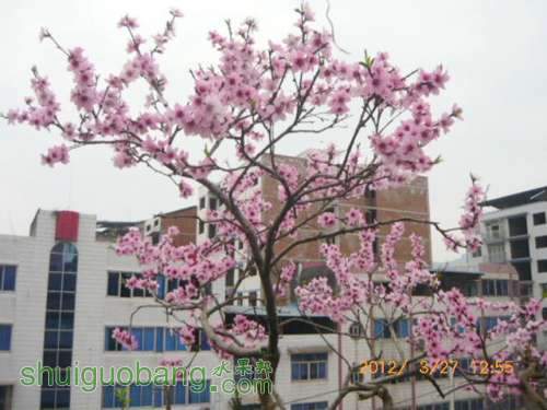 P1200086.JPG