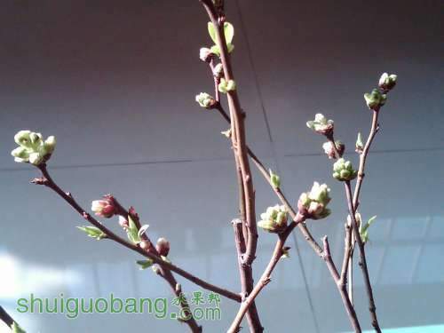 IMG00093-20120328-0904.JPG