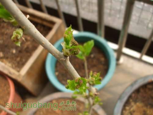 Ƭ 021.jpg