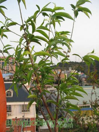 IMG_5266.JPG