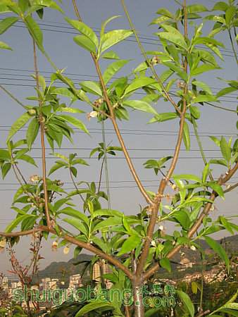 IMG_5180.jpg