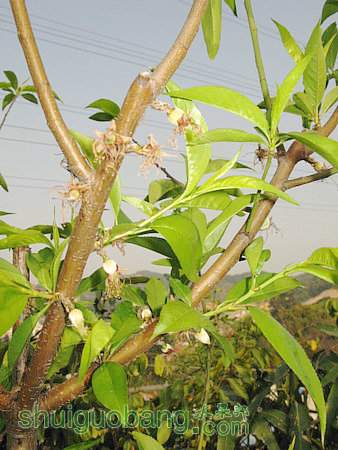 IMG_5182.jpg