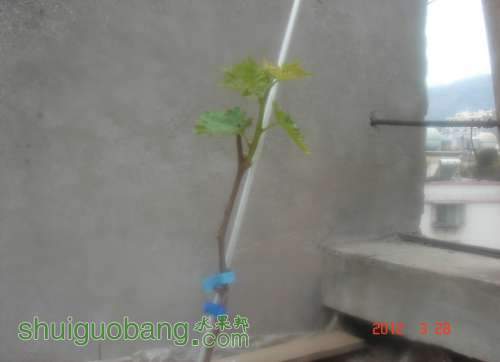 DSC00138.JPG