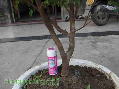 DSCF2857.JPG