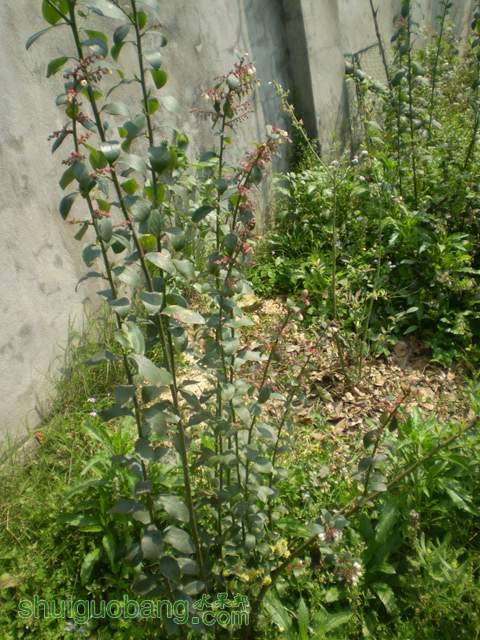P3270030.jpg