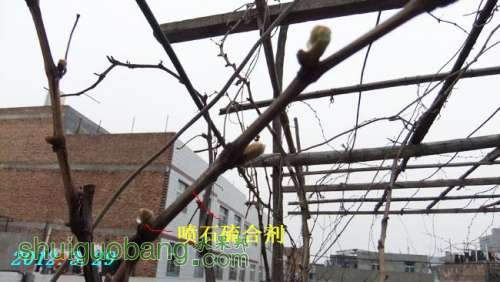 DSCF5027.jpg