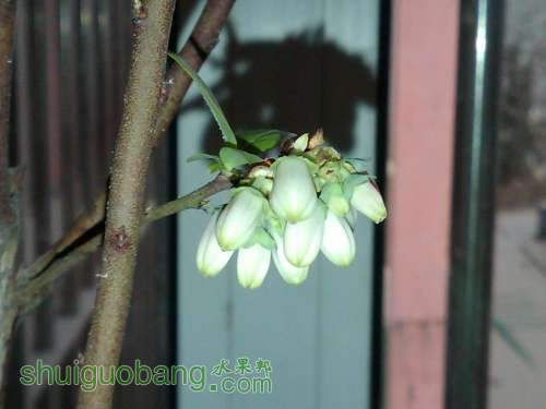IMG00101-20120331-1755.jpg