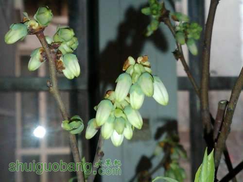 IMG00102-20120331-1755.jpg