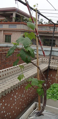 QQͼ20120402163956.jpg