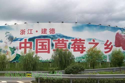 ݮ֮_.jpg