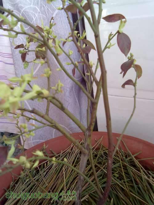 20120330365.jpg
