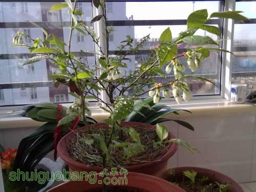 20120404373.jpg
