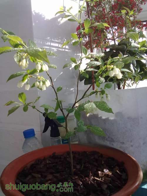 20120404375.jpg