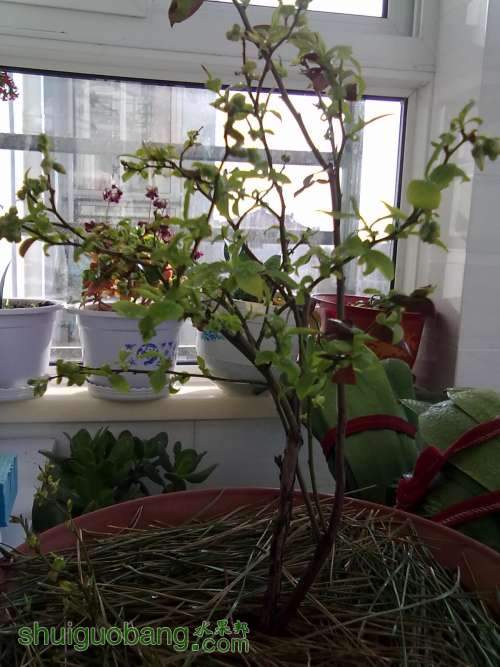 20120404376.jpg