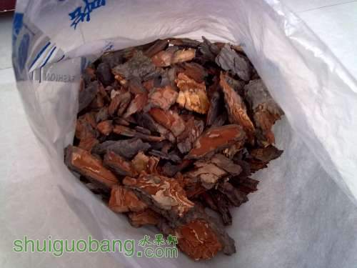 20120404378.jpg