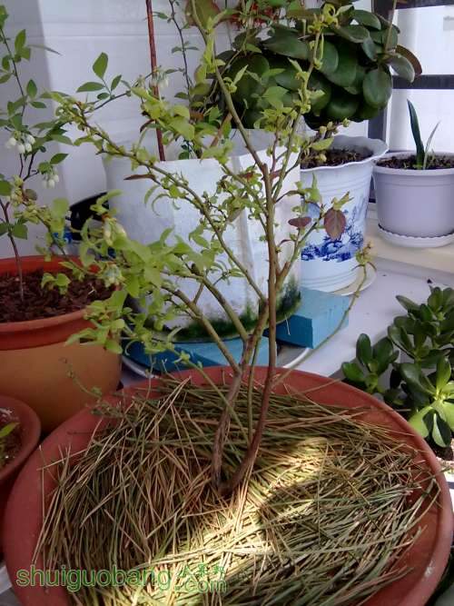 20120404386.jpg