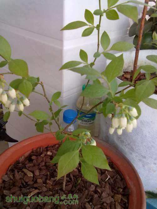 20120404387.jpg