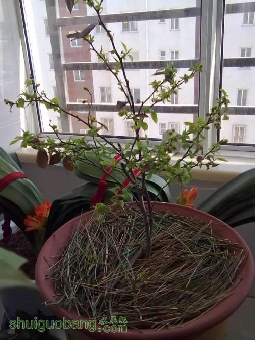 20120404389.jpg