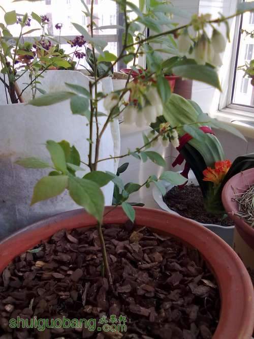 20120404390.jpg