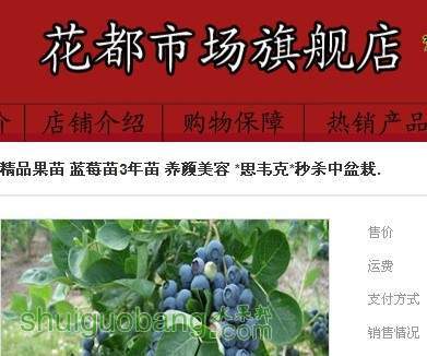 ���ĵ���