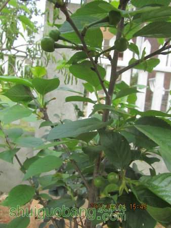 IMG_6616.JPG