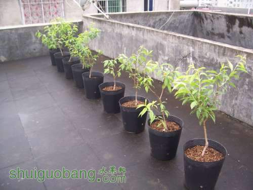201246޼1.JPG
