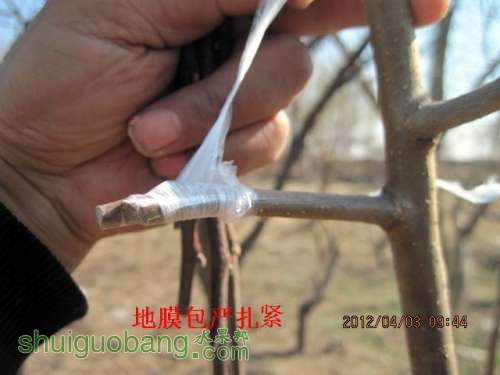 Ӽ޽-3.2012.04.02 033.jpg